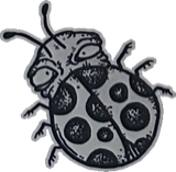 Long-antenna spotted beetle, a drawing by twikoi