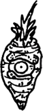 Leaf crowned eye carrot, a drawing by twikoi