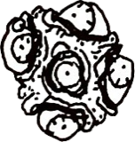 Lower three eyed creature face, a drawing by twikoi