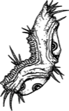 Right spiky creature, a drawing by twikoi