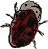 Red beetle with swept antennae, a drawing by twikoi