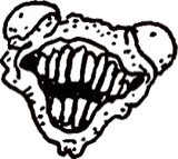 Upper central open mouth, a drawing by twikoi
