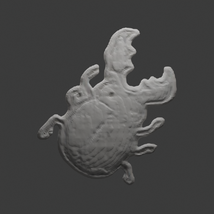 Actual inferred antlered beetle back with rough unapproved marks