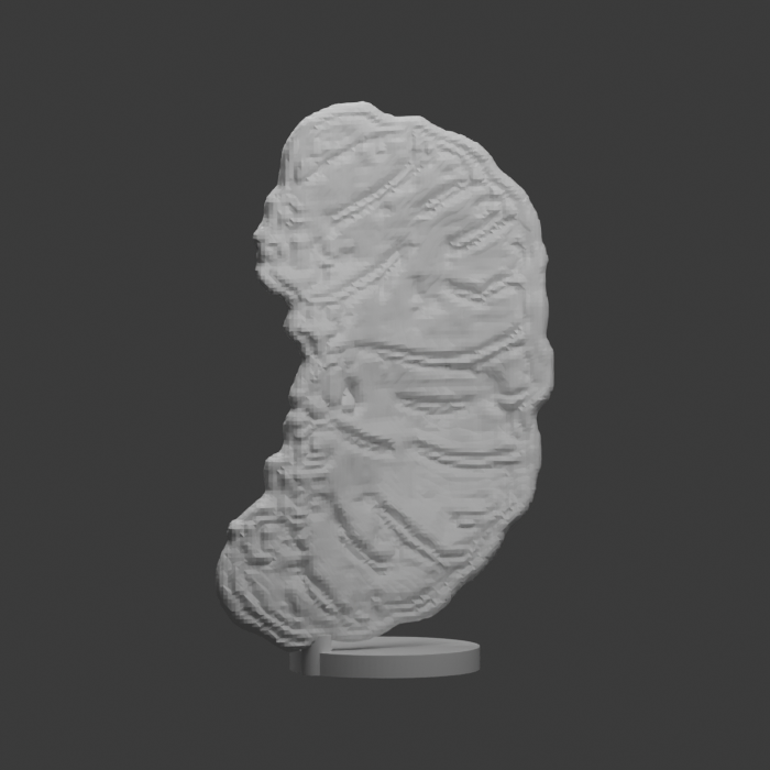 Segmented curled grub · Display Figure design preview