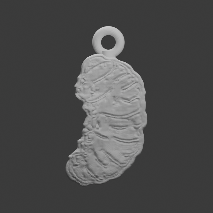 Segmented curled grub · Keychain design preview