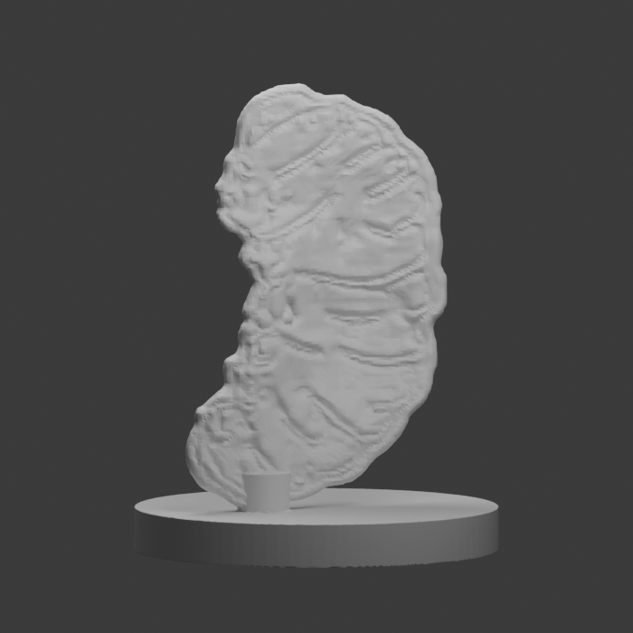 Segmented curled grub · Tabletop Mini design preview
