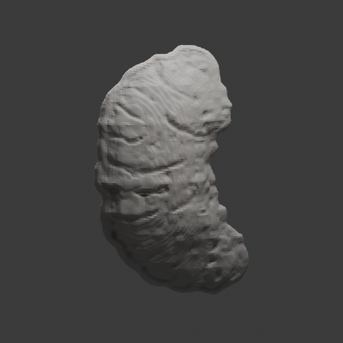 Actual inferred grub back with unapproved marks