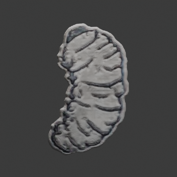 Actual generated grub front with coarse segment marks