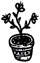 Original art: Three-bud striped pot