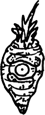 Original hand-drawn art: Leaf crowned eye carrot