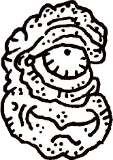 Original hand-drawn art: Upper right head