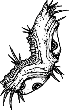 Original hand-drawn art: Right spiky creature