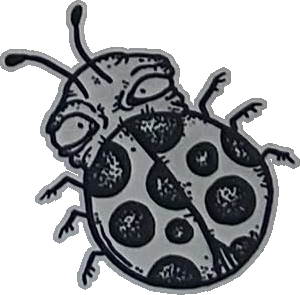 Original hand-drawn art: Long-antenna spotted beetle