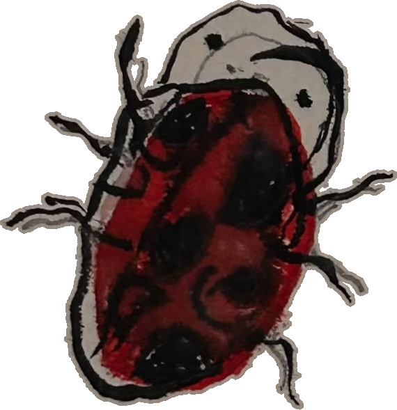 Original hand-drawn art: Red beetle with swept antennae