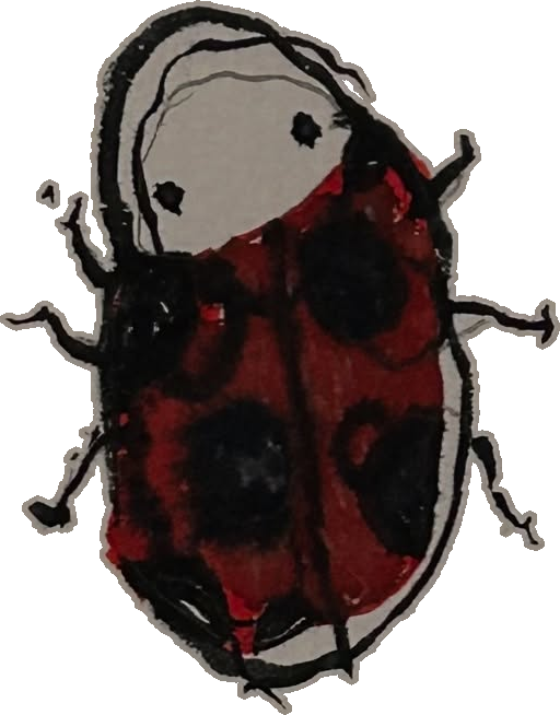 Original hand-drawn art: Red beetle with round pale head