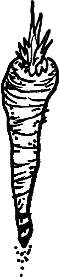 Original hand-drawn art: Separate carrot drawing